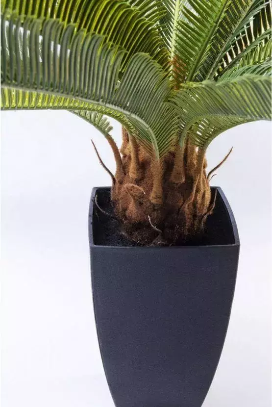 Kare Design :: Sztuczna roślina dekoracyjna Cycas Tree 40x78 cm